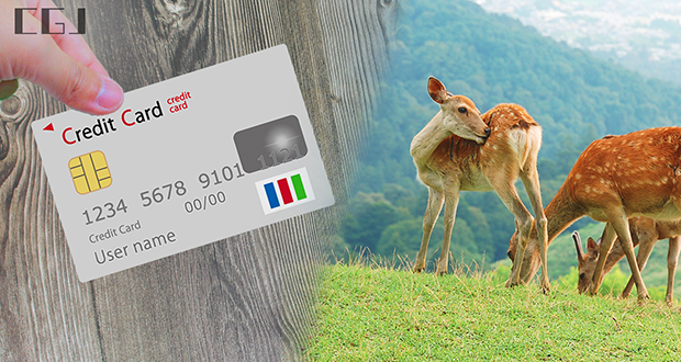 クレジットカードと奈良の鹿